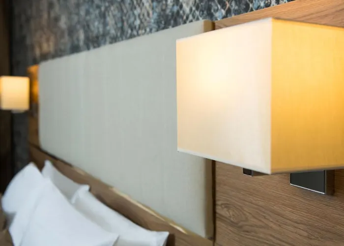 White House 特拉布宗