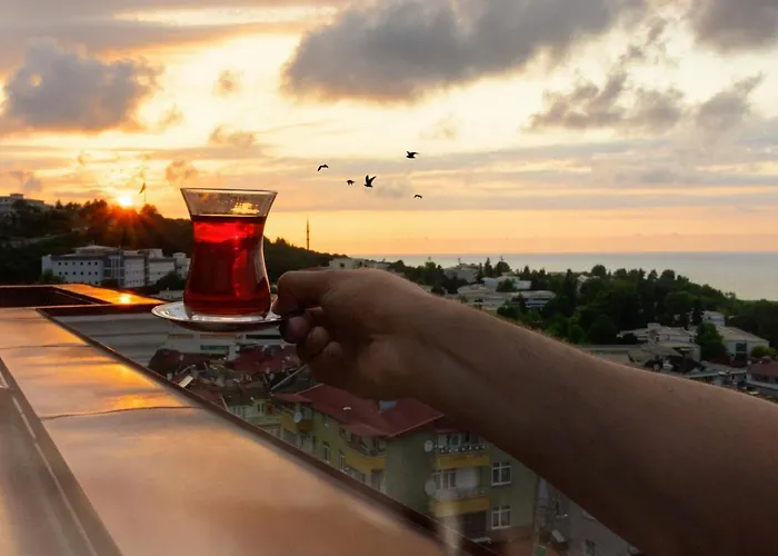 酒店 White House 3*