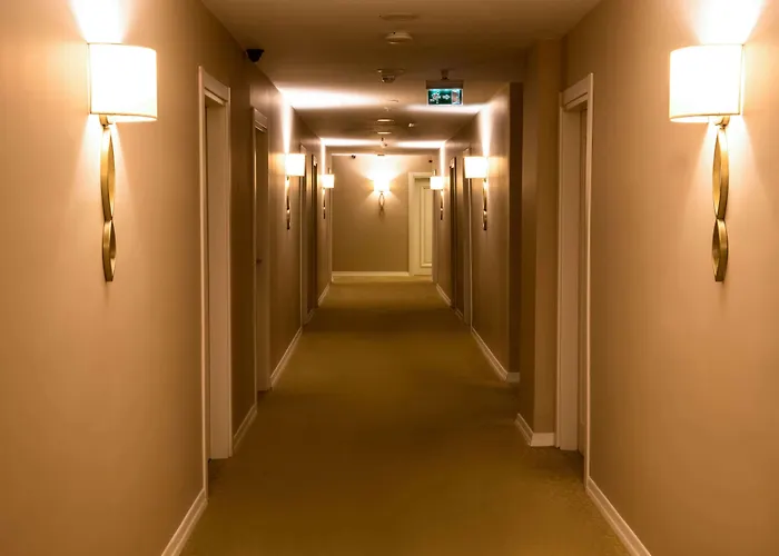 White House 特拉布宗