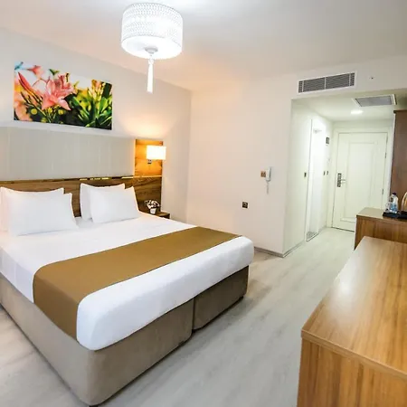 酒店 White House 3*