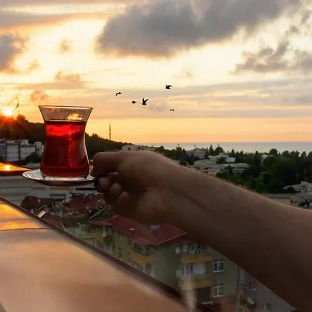 酒店 White House 3*