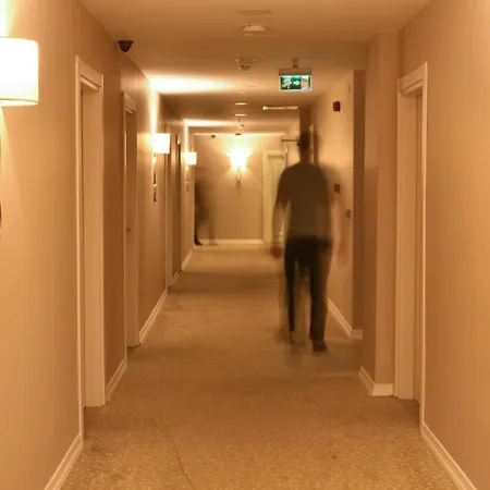 Hotel White House