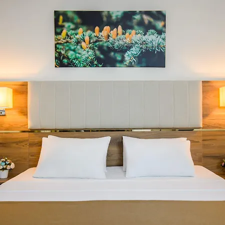 White House Szálloda