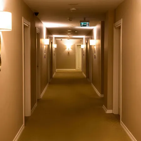 White House 特拉布宗