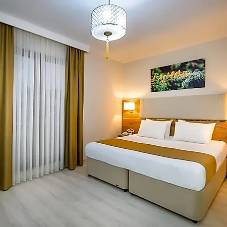 White House 3*