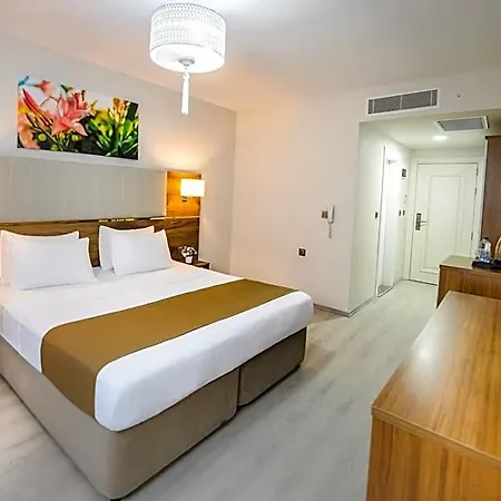 White House 3*