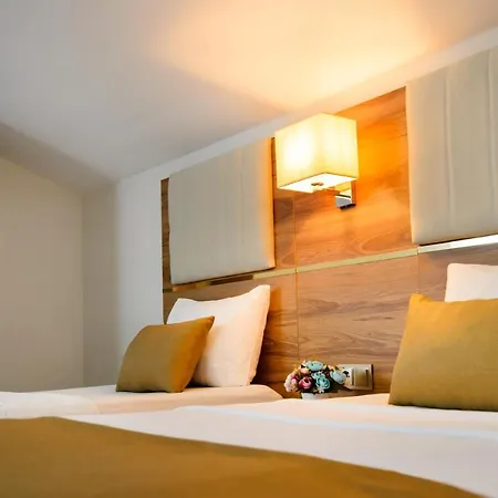 White House 特拉布宗